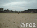 動画:呼び戻し