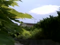 動画:uguisu1